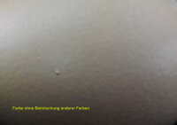 Effekt Farbe Pacific Lagoon 100 ml